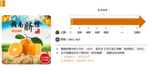 預(yù)售拼購模式在農(nóng)產(chǎn)品電商的實(shí)踐與價(jià)值 以贛南臍橙為例的軟件系統(tǒng)推演剖析